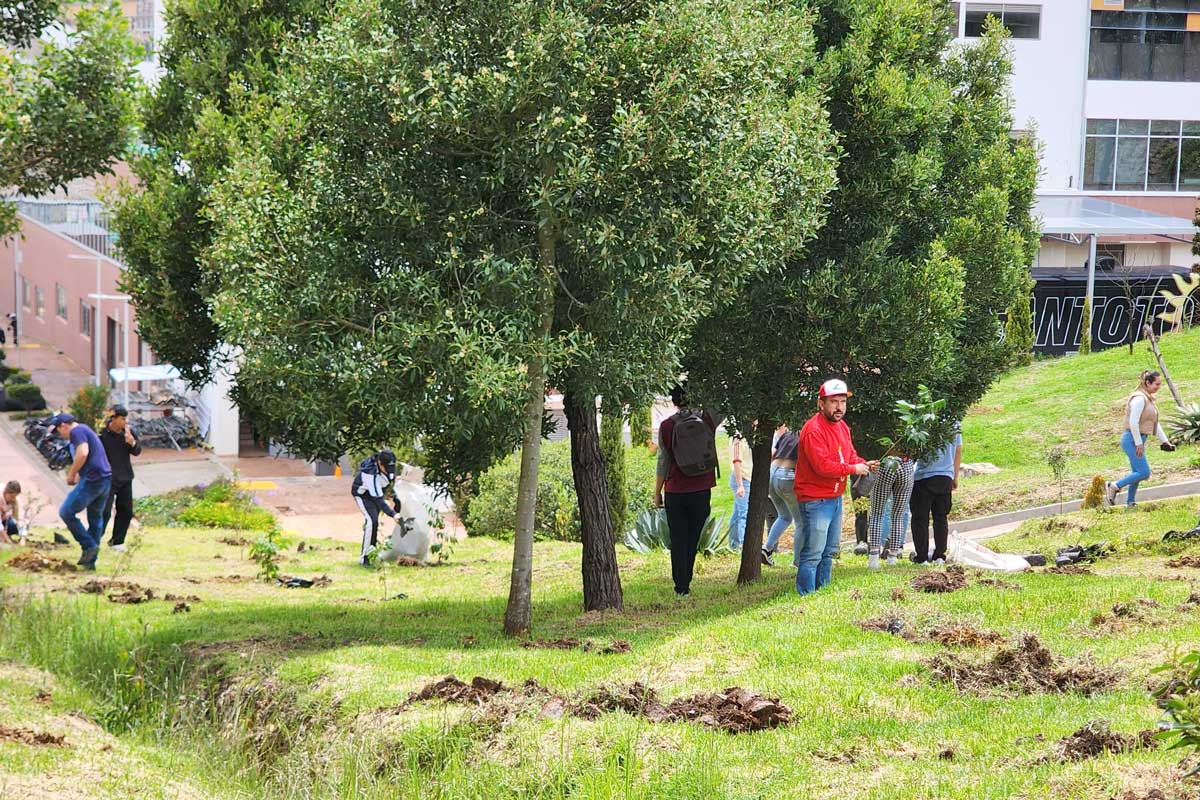 siembra-arboles-1-evangelizacion-cultura-2025-santoto-tunja-boyaca