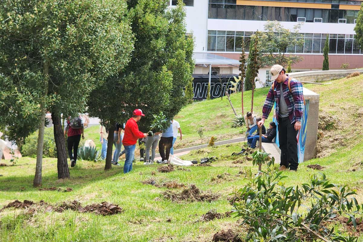 siembra-arboles-2-evangelizacion-cultura-2025-santoto-tunja-boyaca