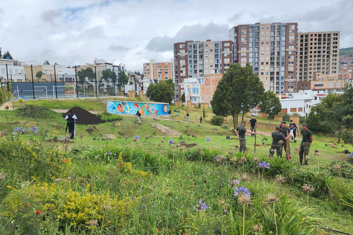 siembra-arboles-4-evangelizacion-cultura-2025-santoto-tunja-boyaca